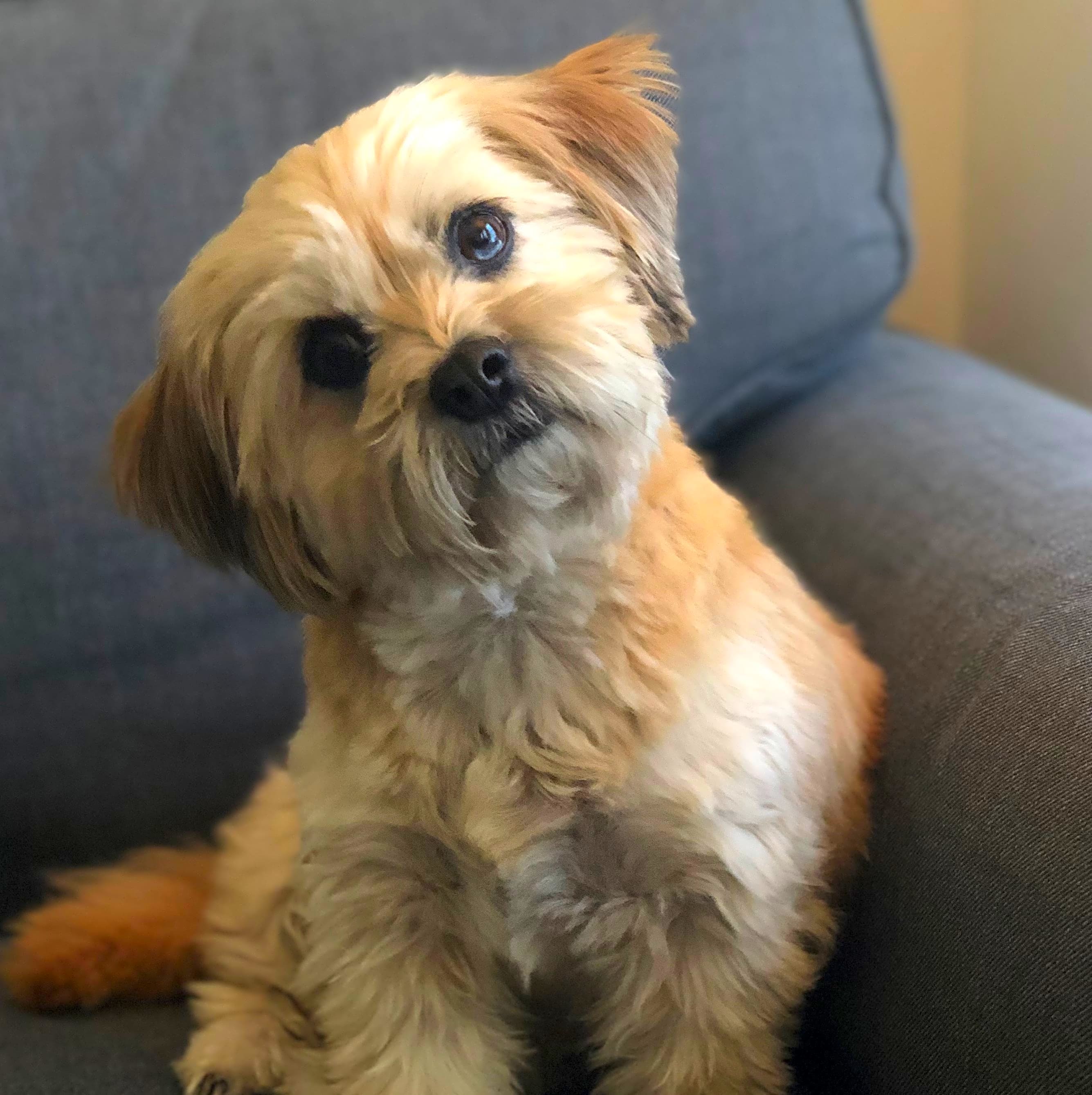 Photo of Emmie
