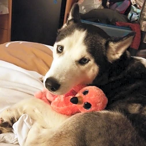 Photo of Mya