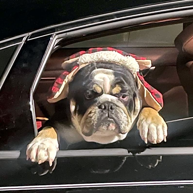 Photo of Bubba Swubbs