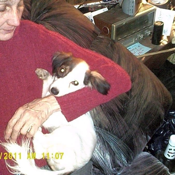 Photo of Tiny
