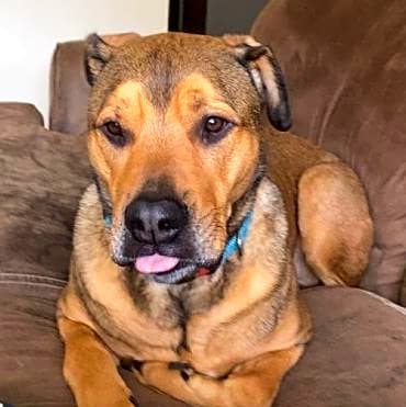 Photo of Milo