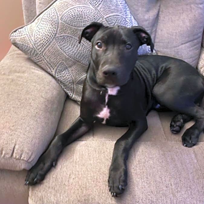 Photo of rebel