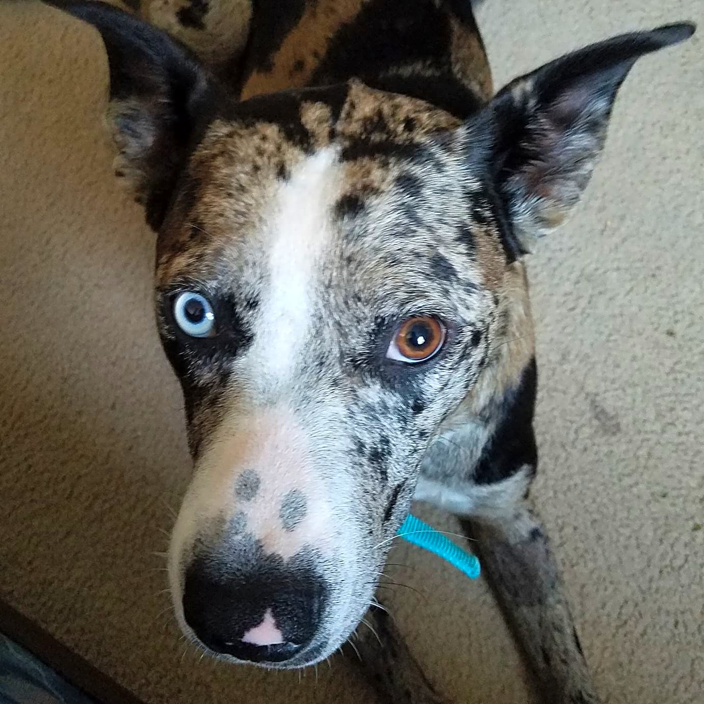 Photo of Persephone
