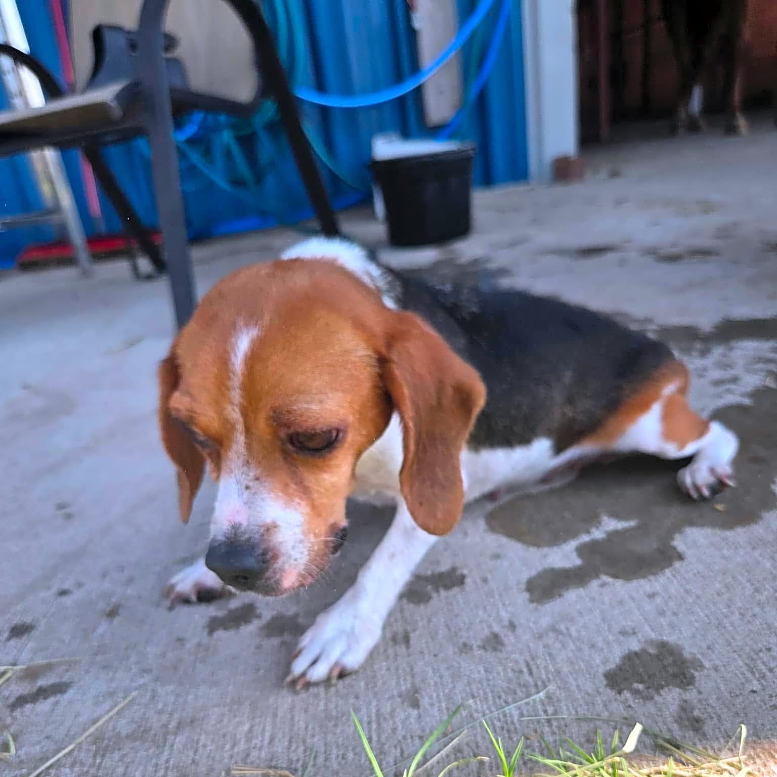 Photo of Skye
