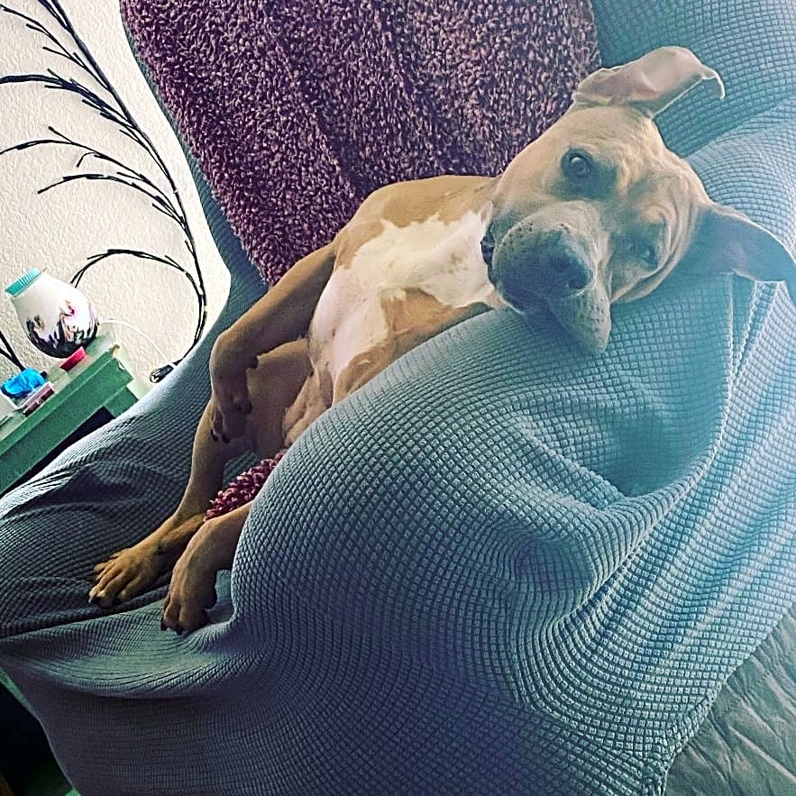 Photo of Millie