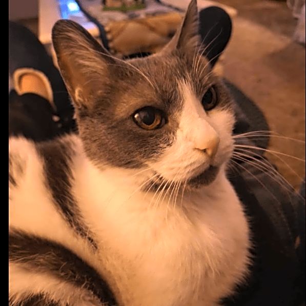 Photo of Katie Bug