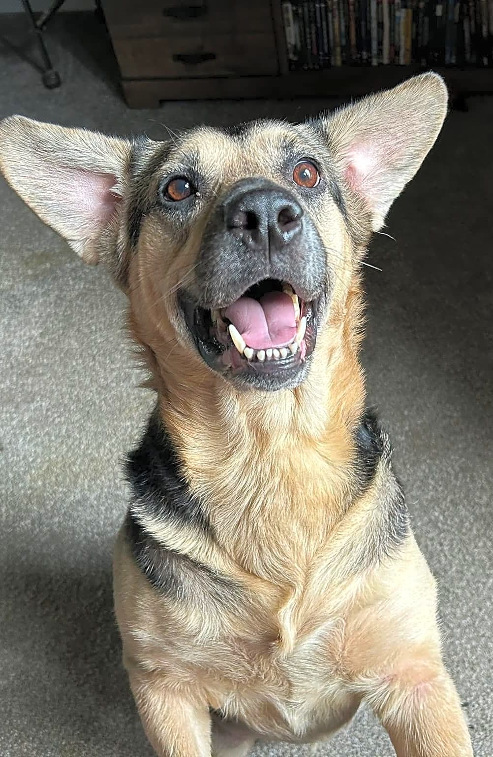 Photo of Luna