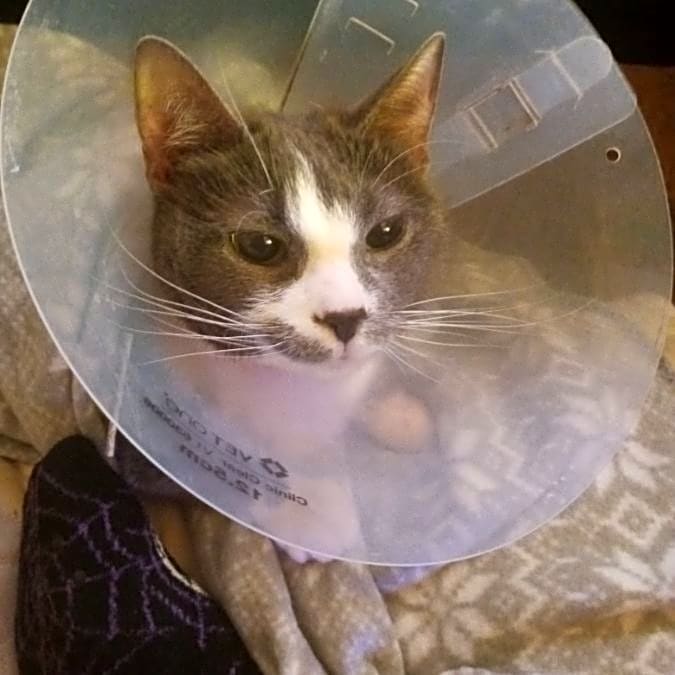 Photo of Kiki