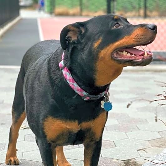 Photo of Mia