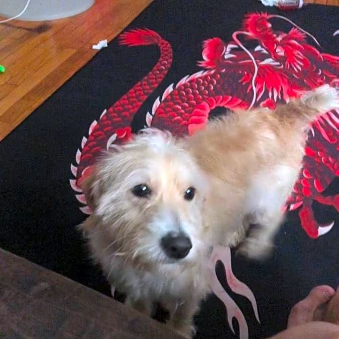 Photo of Max