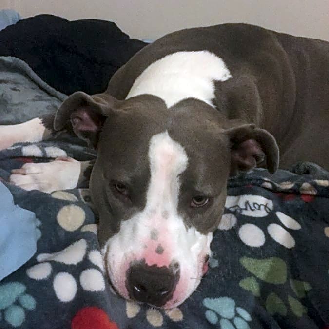Photo of Lily