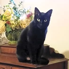 Photo of Aleister