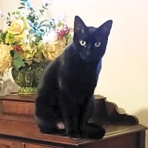 Photo of Aleister