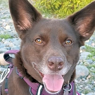 Photo of Skye