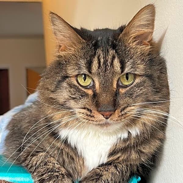 Photo of Salvador