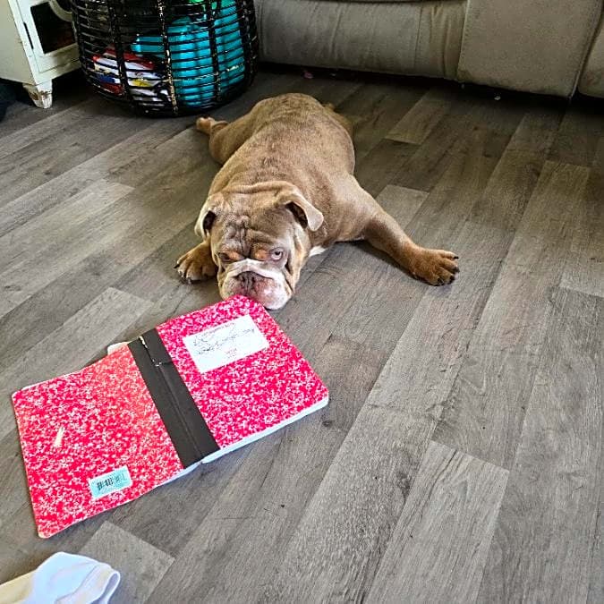 Photo of Deebo
