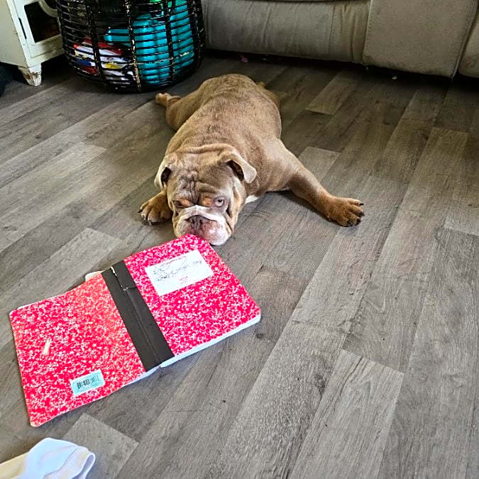 Photo of Deebo
