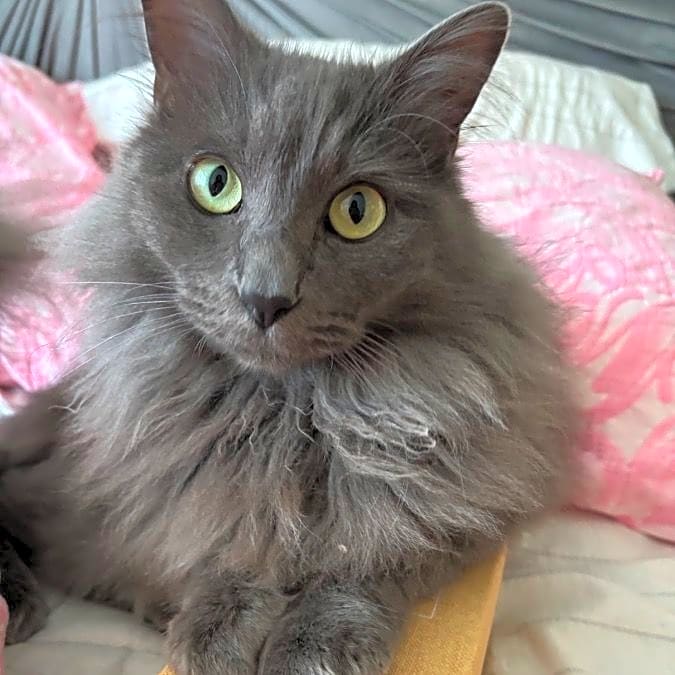 Photo of Clara
