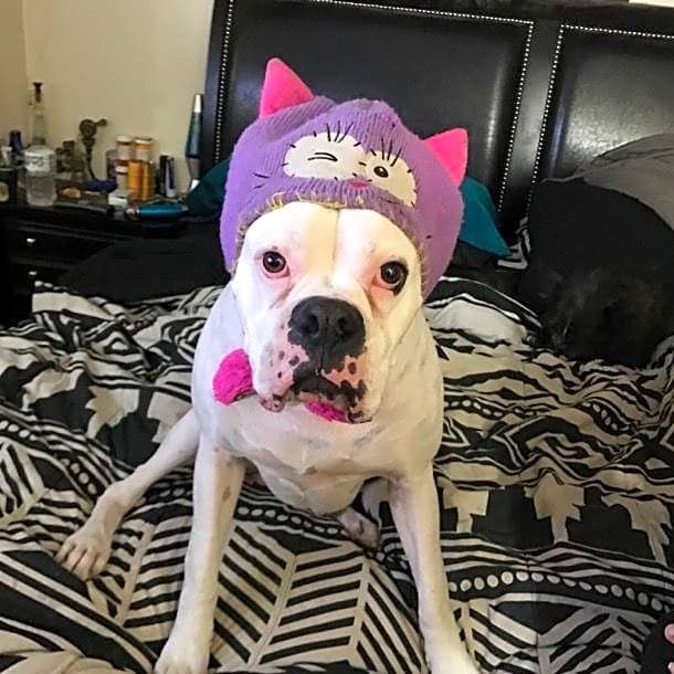 Photo of Kilo
