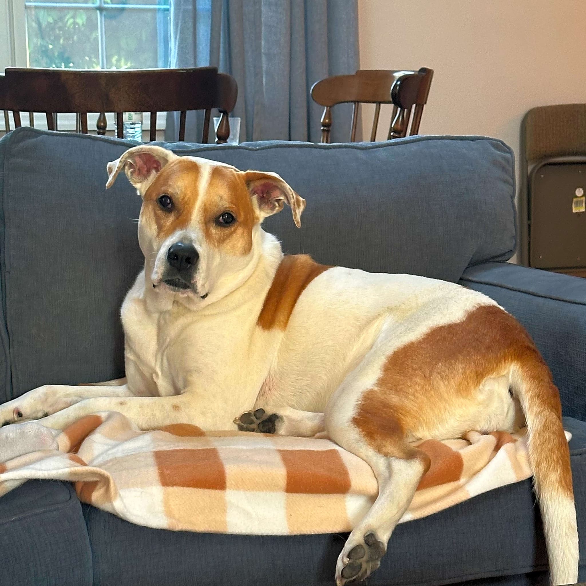 Photo of Tilly