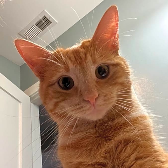 Photo of Sherman