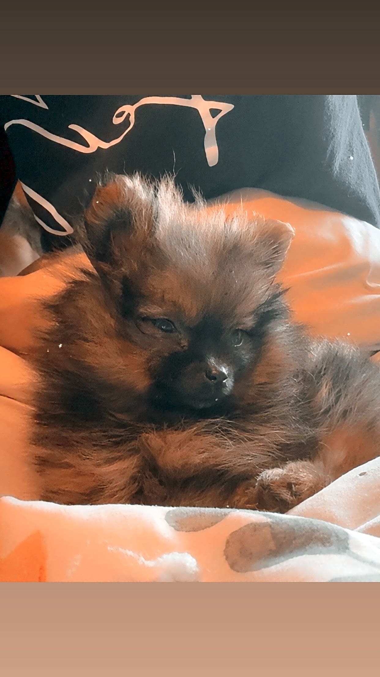 Photo of Izzie