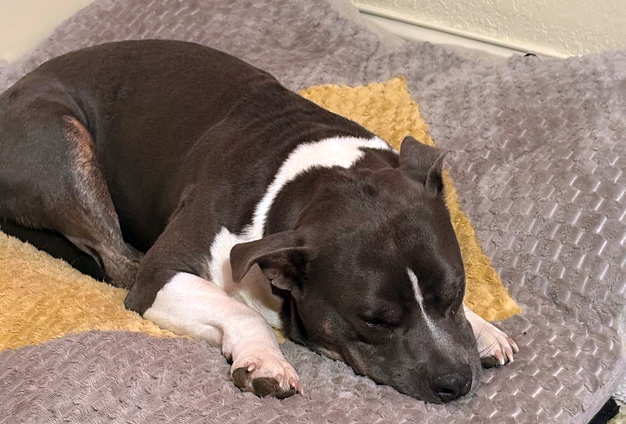 Photo of Zeus