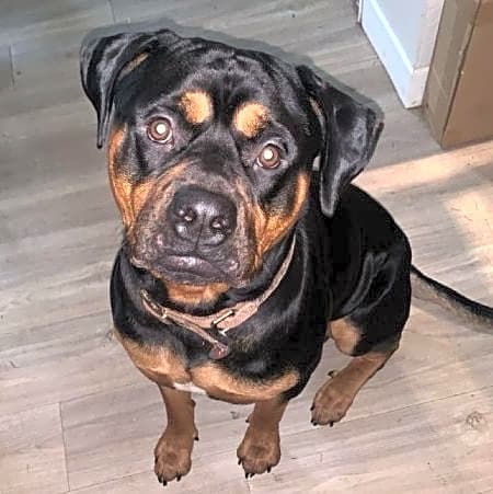 Photo of Hades
