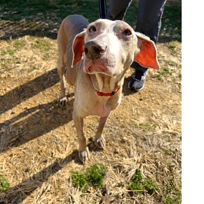 Photo of Dutchess
