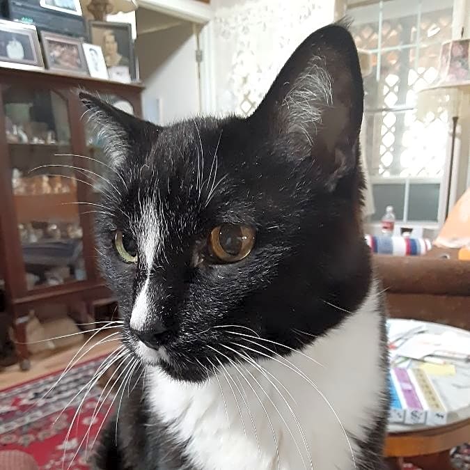 Photo of Andy