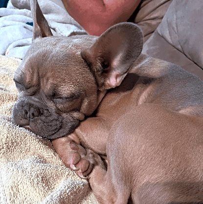 Photo of Waylon