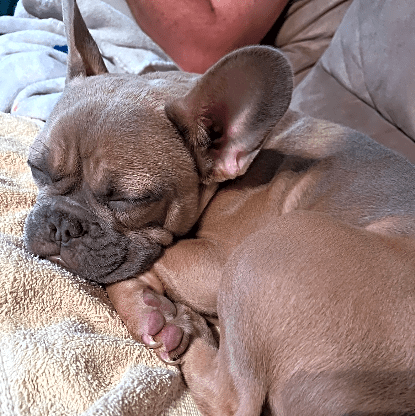 Photo of Waylon