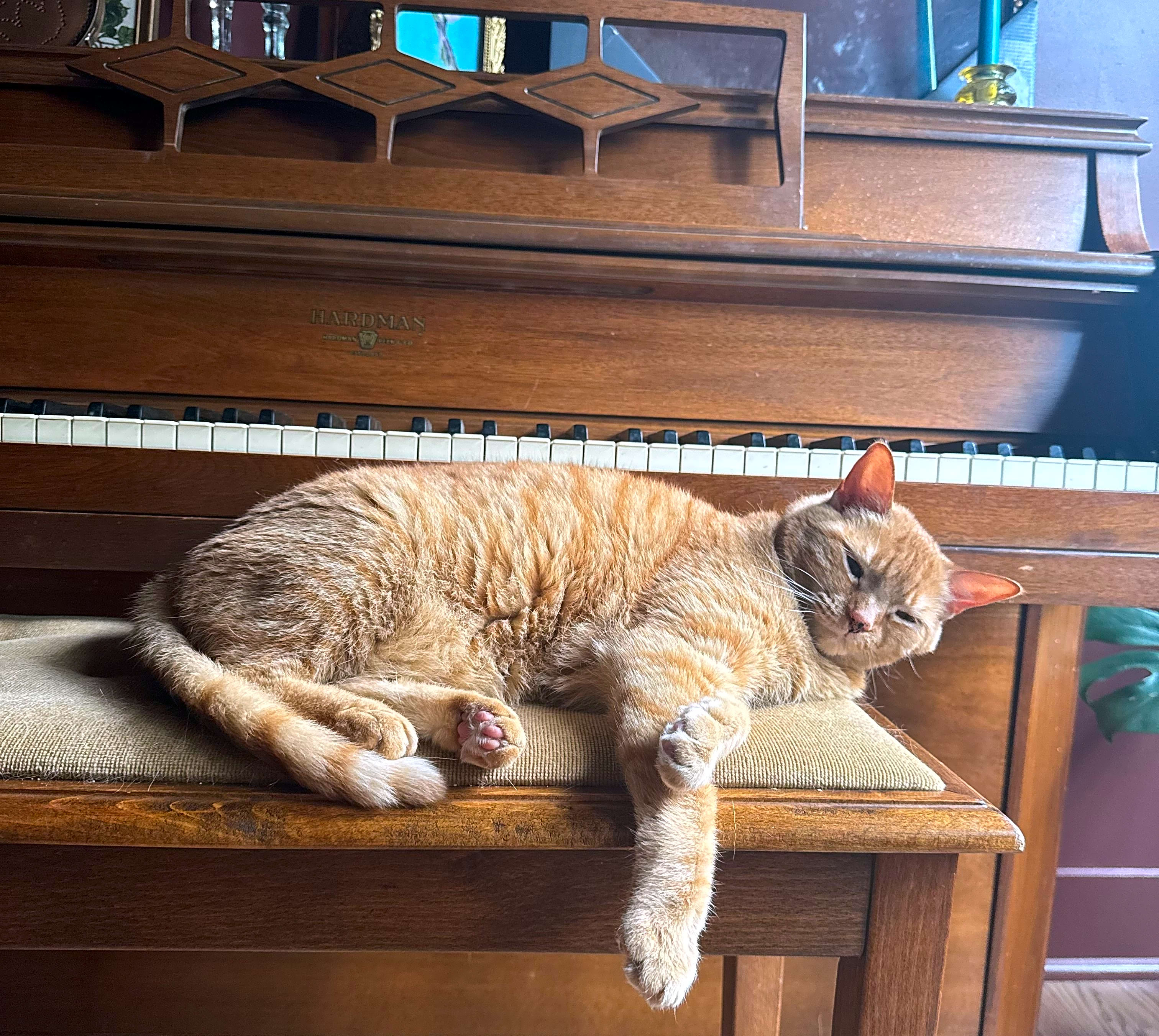 Photo of Belle