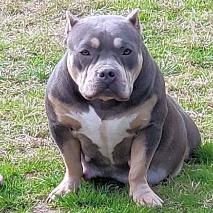 Photo of Frunchie