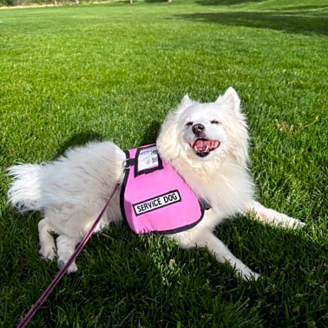 Photo of Gia