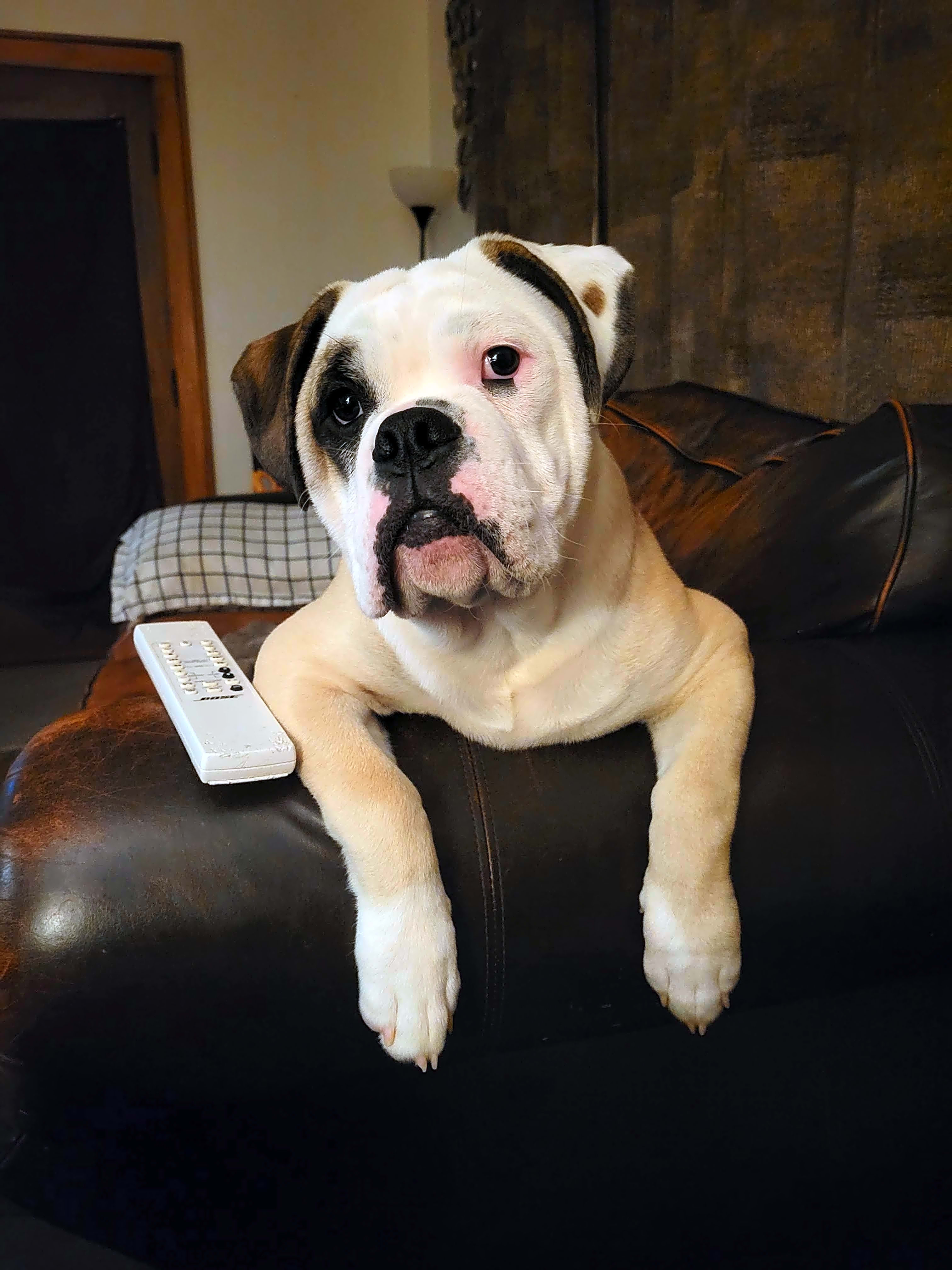 Photo of Tbone