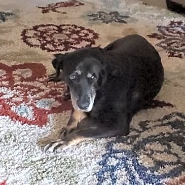 Photo of Mamas