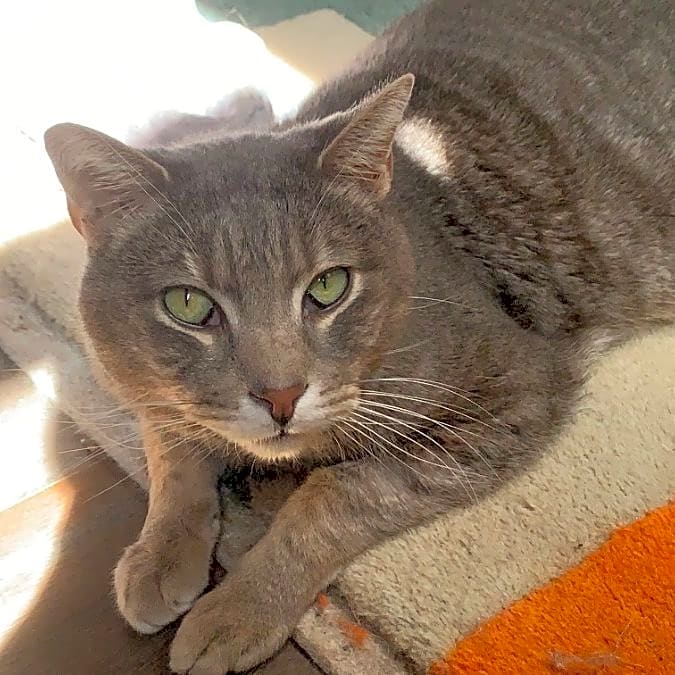 Photo of Duncan