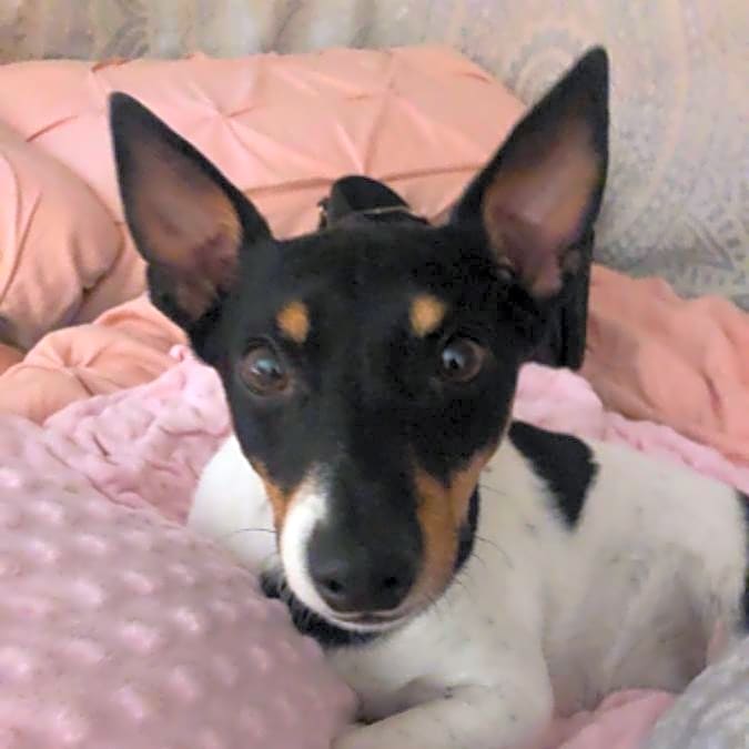 Photo of Max