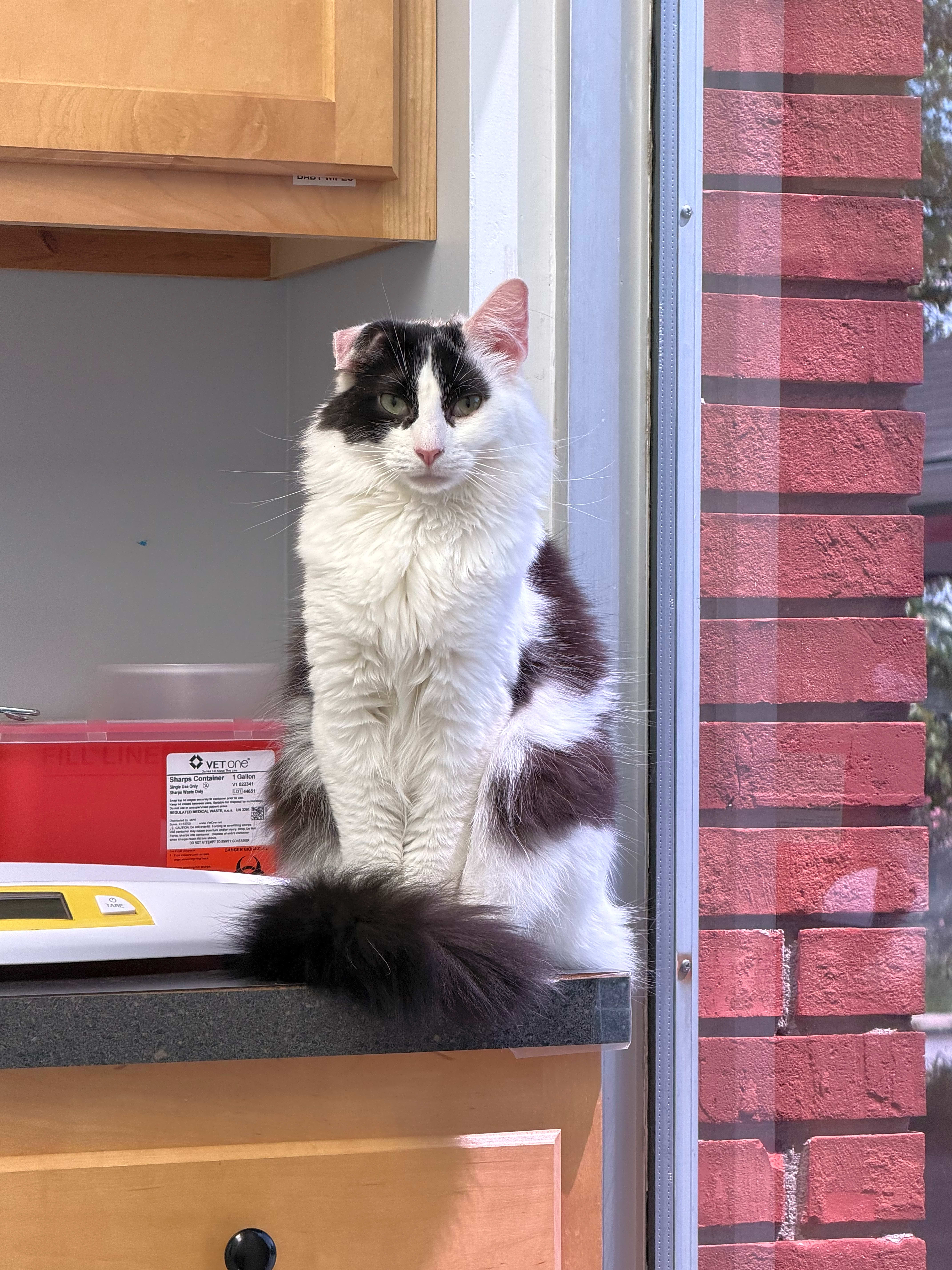 Photo of Cash