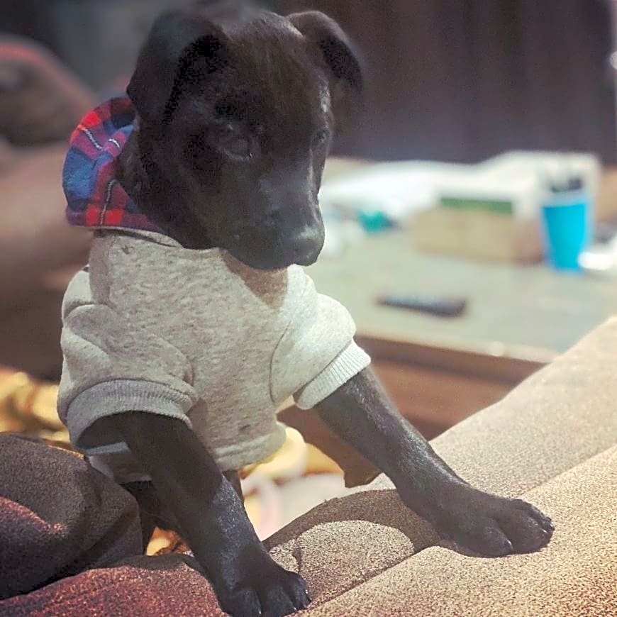 Photo of Jack