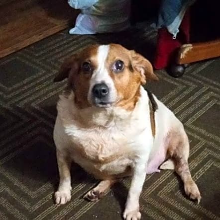 Photo of Molly