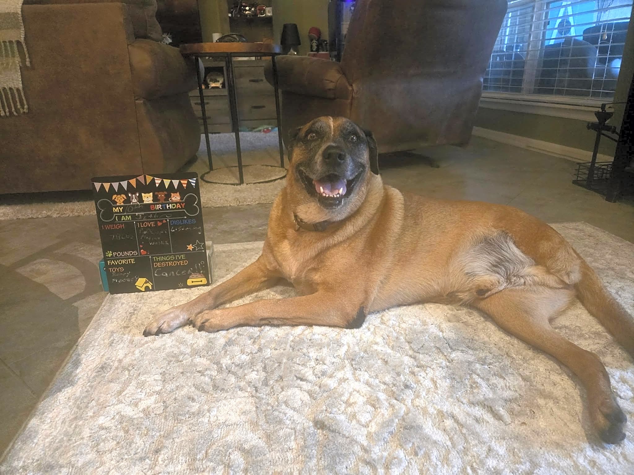 Photo of Jethro
