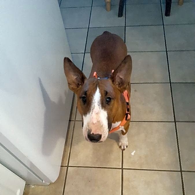 Photo of Maxiene