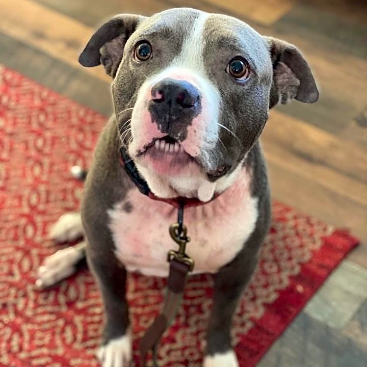 Photo of Telly
