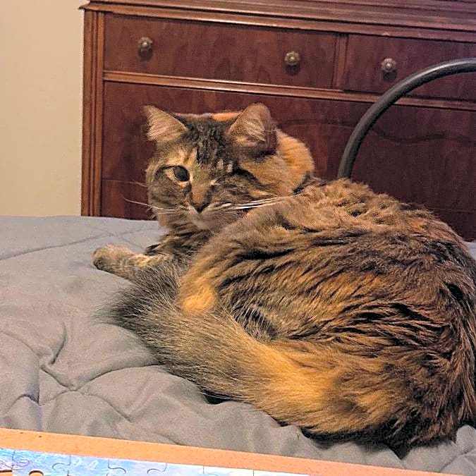 Photo of Roxy