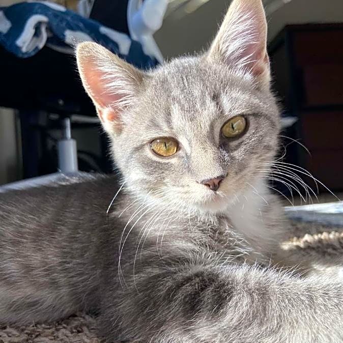Photo of Mune