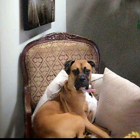 Photo of Khita