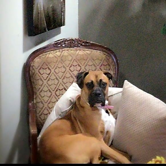 Photo of Khita