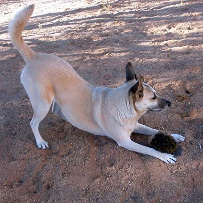 Photo of CeeCee